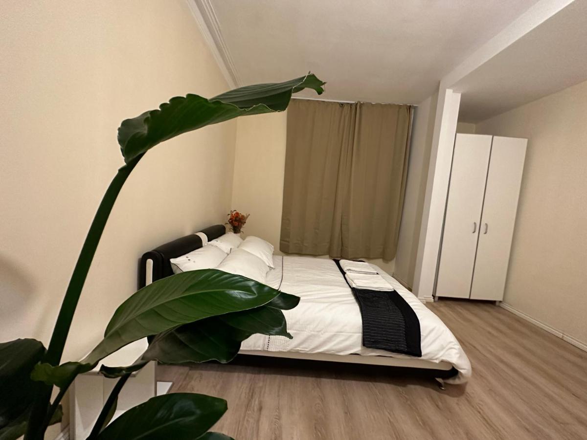 North London A Spacious 7 Bedroom House Accommodating Up To 18 People Complete With Own Gym And Table Tennis Eksteriør billede
